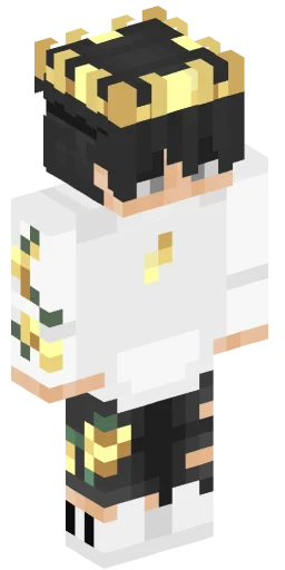 Minecraft Skin #233938