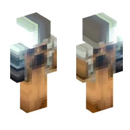 Minecraft Skin #234499