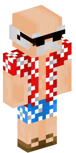 Minecraft Skin #234626