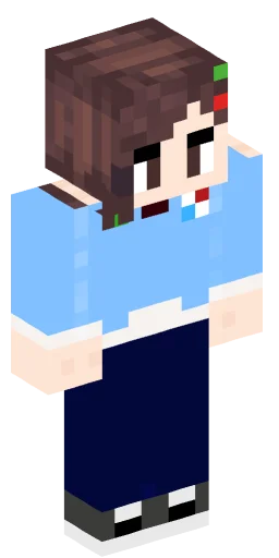 Minecraft Skin #236810