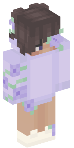 Minecraft Skin #236818