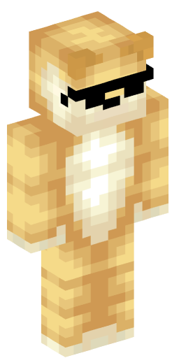 Aiden201 Minecraft Skin Preview on Minecraft.Co.Com