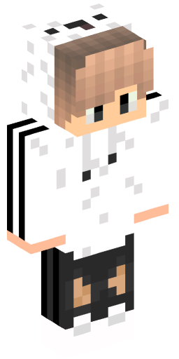 Minecraft Skin #240507