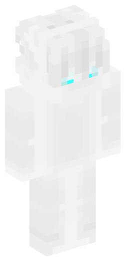 Minecraft Skin #240527