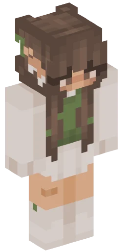 Minecraft Skin #241007