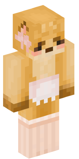 gaymersalsa Minecraft Skin Preview on Minecraft.Co.Com