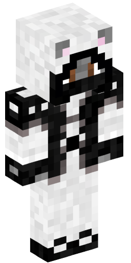 Minecraft Skin #241216