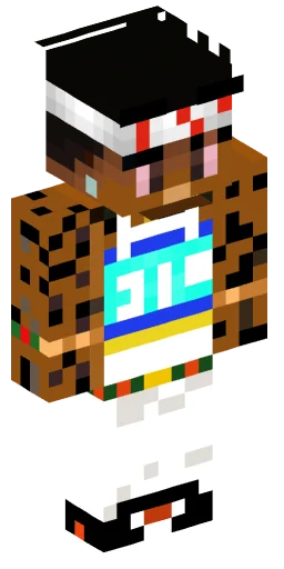 Minecraft Skin #241261