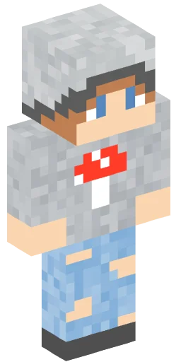 Minecraft Skin #241520