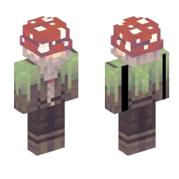 Minecraft Skin #242110