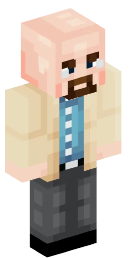 Minecraft Skin #242210