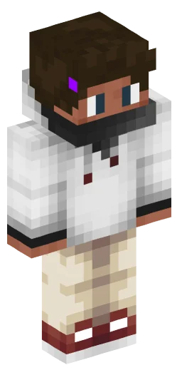 Minecraft Skin #242214