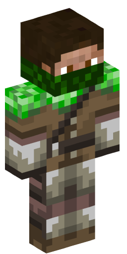 Minecraft Skin #242233