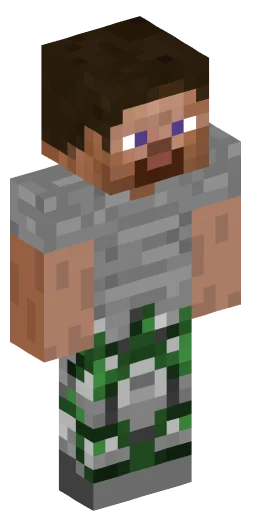 Minecraft Skin #242261