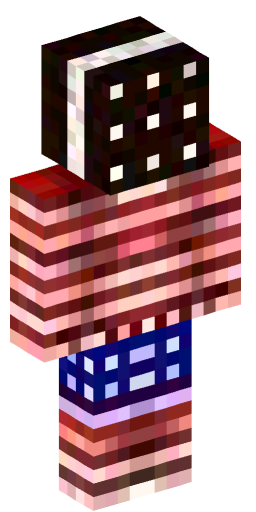 Minecraft Skin #242428