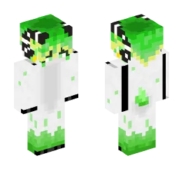 Minecraft Skin #242579
