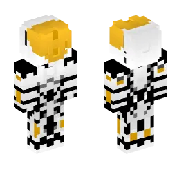 Minecraft Skin #242633
