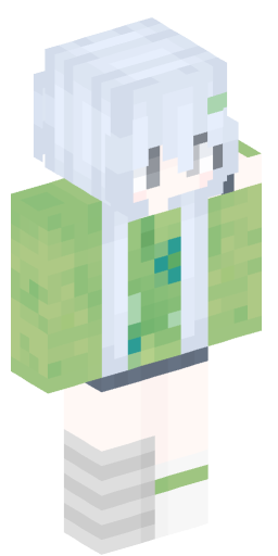 Minecraft Skin #242999