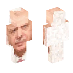 Minecraft Skin #243287