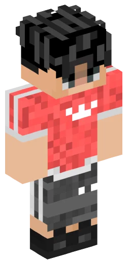 Minecraft Skin #243318