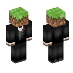 Minecraft Skin #243406