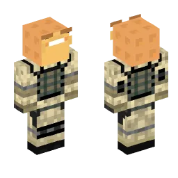 Minecraft Skin #243803