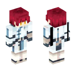 Minecraft Skin #243842