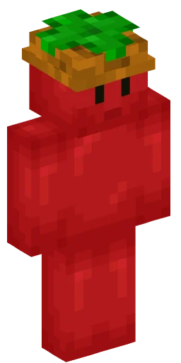 Minecraft Skin #244072
