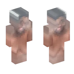 Minecraft Skin #244133