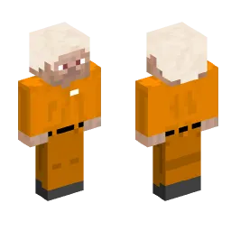 Minecraft Skin #244242
