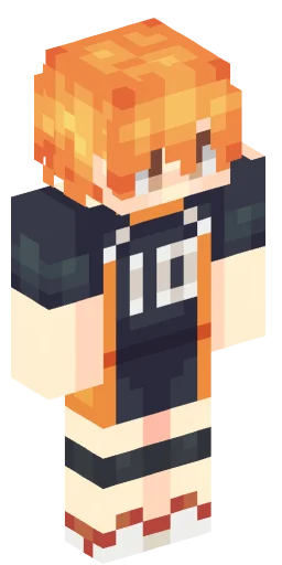 Minecraft Skin #244424