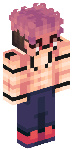 Minecraft Skin #245561
