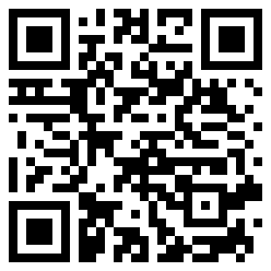 BinGestoert QR Code
