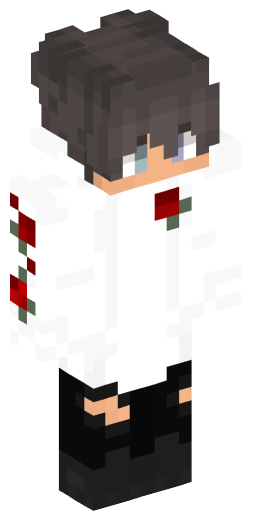 Minecraft Skin #246411