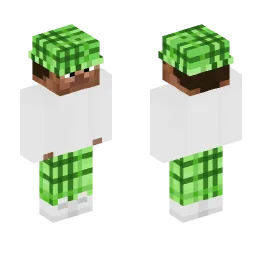 Minecraft Skin #246667