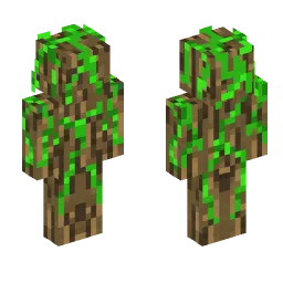 Minecraft Skin #246808