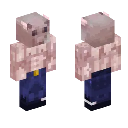 Minecraft Skin #246888