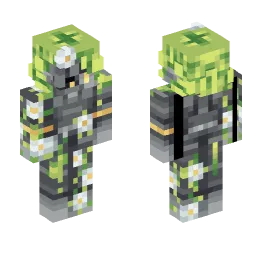 Minecraft Skin #247073