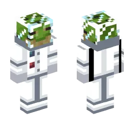 Minecraft Skin #247120