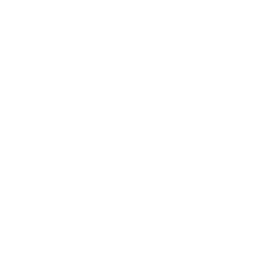 Minecraft Skin #248111