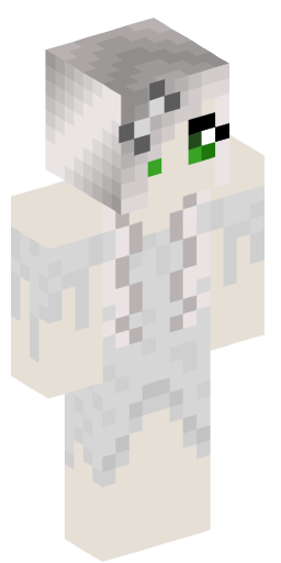 Minecraft Skin #249434