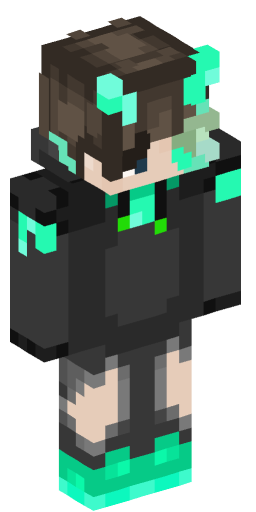 Minecraft Skin #250222
