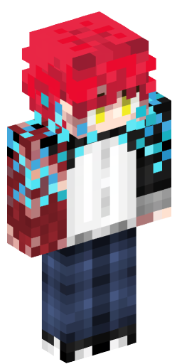 Minecraft Skin #250301