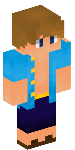 Minecraft Skin #250309