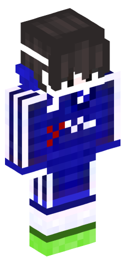 Minecraft Skin #250473