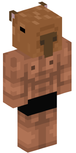 Minecraft Skin #250568