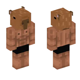 Minecraft Skin #250568